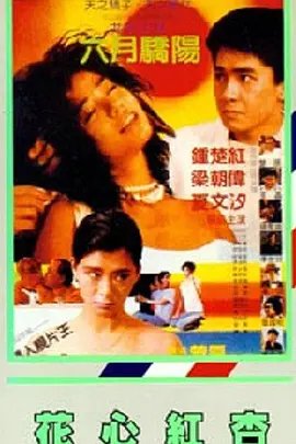 电影《法国空姐》在线观看