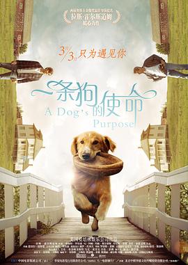 黄色wwwxxx